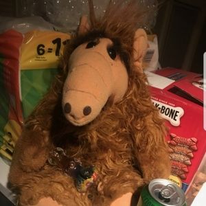 Meet your Posher, Paul